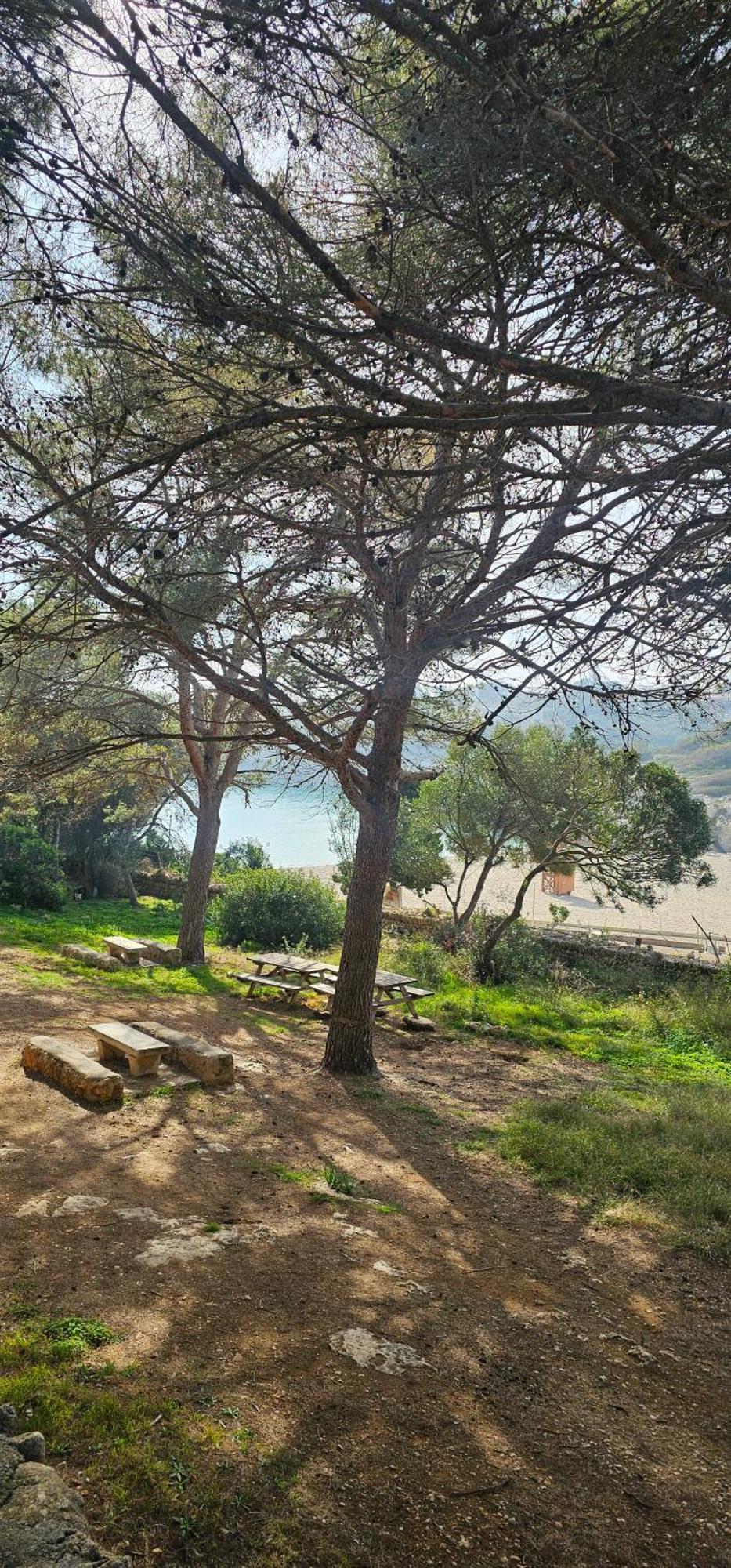 Casa Domingos Cales De Mallorca Apartamento Calas de Mallorca